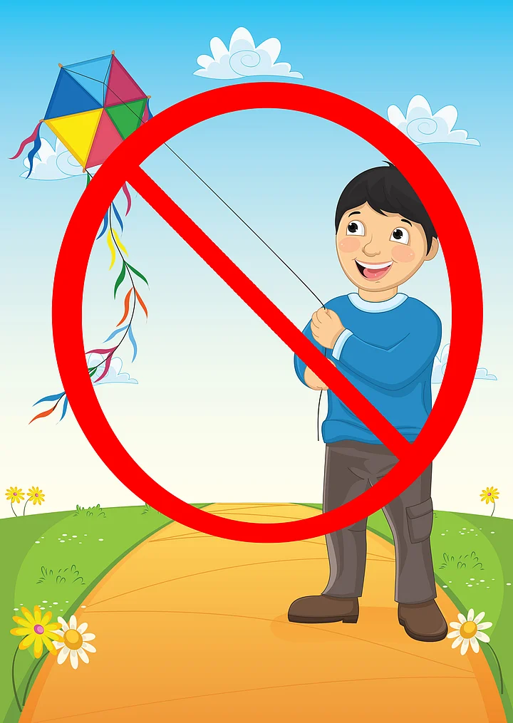 Kites are Aeroplanes India and Her Strange Laws